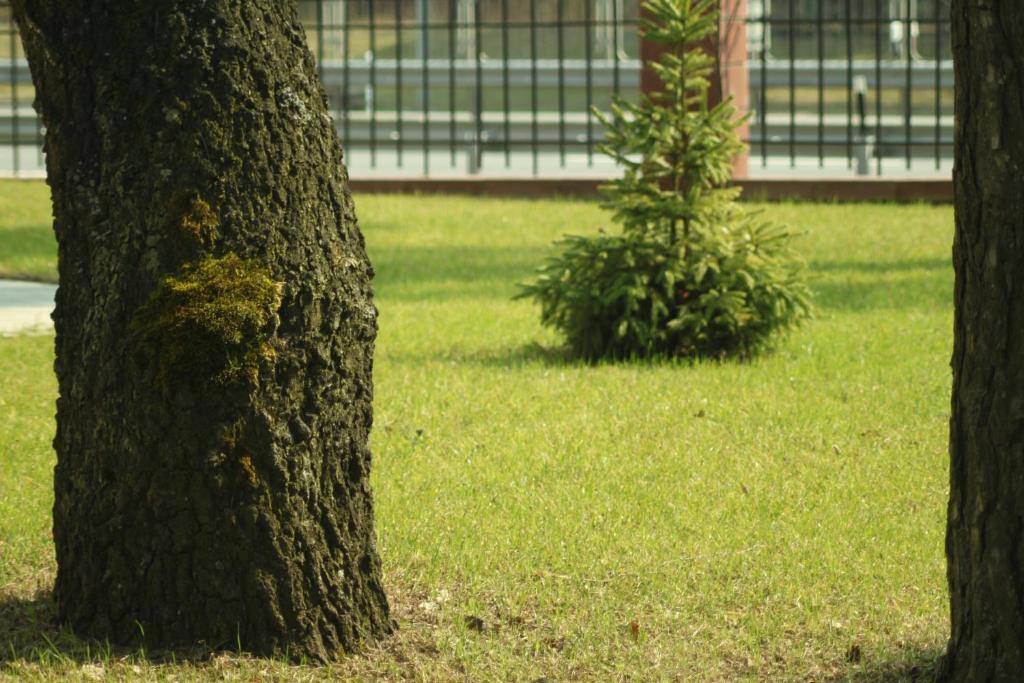Hotel Westa Mińsk Zewnętrze zdjęcie